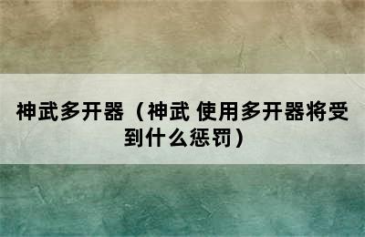 神武多开器（神武 使用多开器将受到什么惩罚）